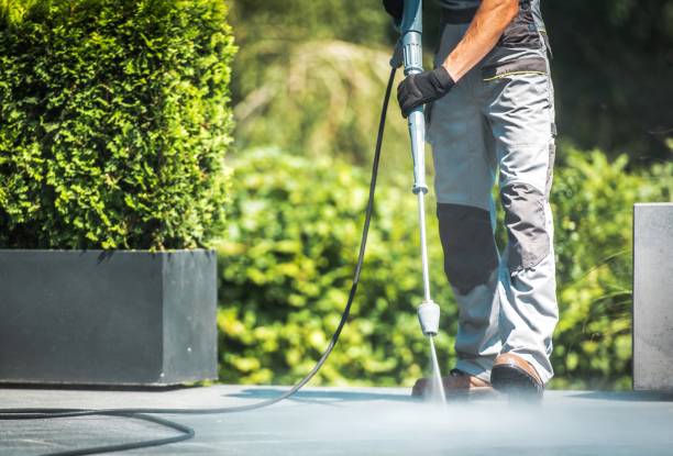 Best Spring Cleaning  in Donna, TX