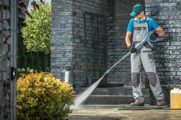 Best Soft Washing  in Donna, TX