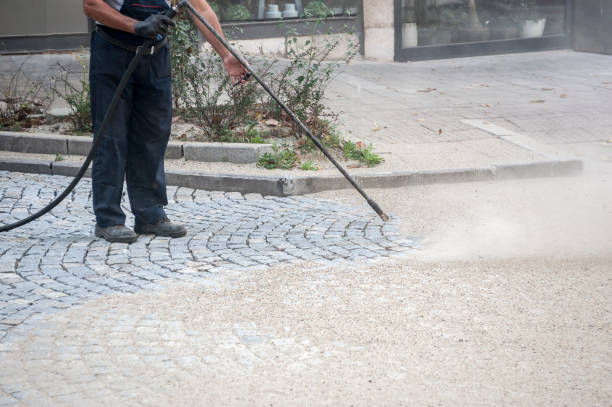 Best Driveway Pressure Washing  in Donna, TX