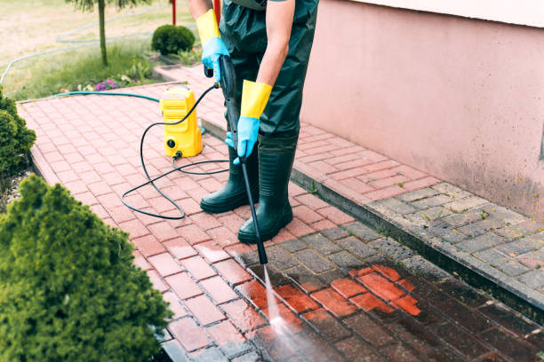 Best Graffiti Removal  in Donna, TX