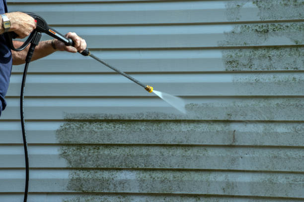Best Pre-Holiday Cleaning  in Donna, TX