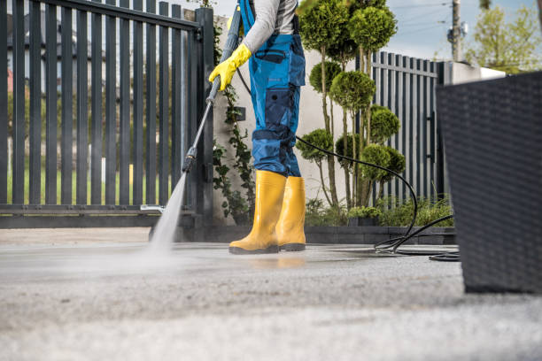 Best Roof Washing  in Donna, TX