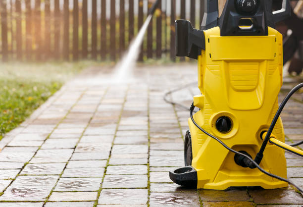 Best Fence Cleaning  in Donna, TX